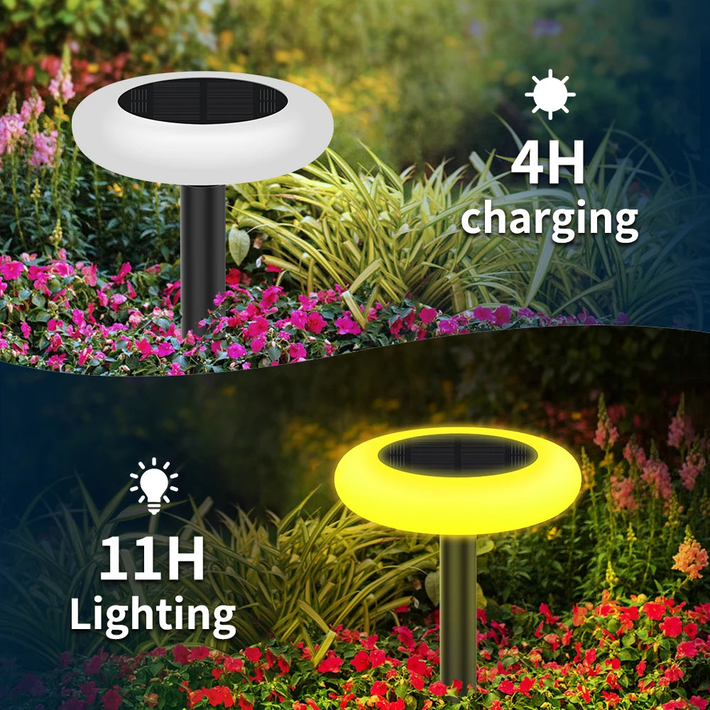 Intelamp Outdoor Solar Pathway Lights for Garden and Landscape