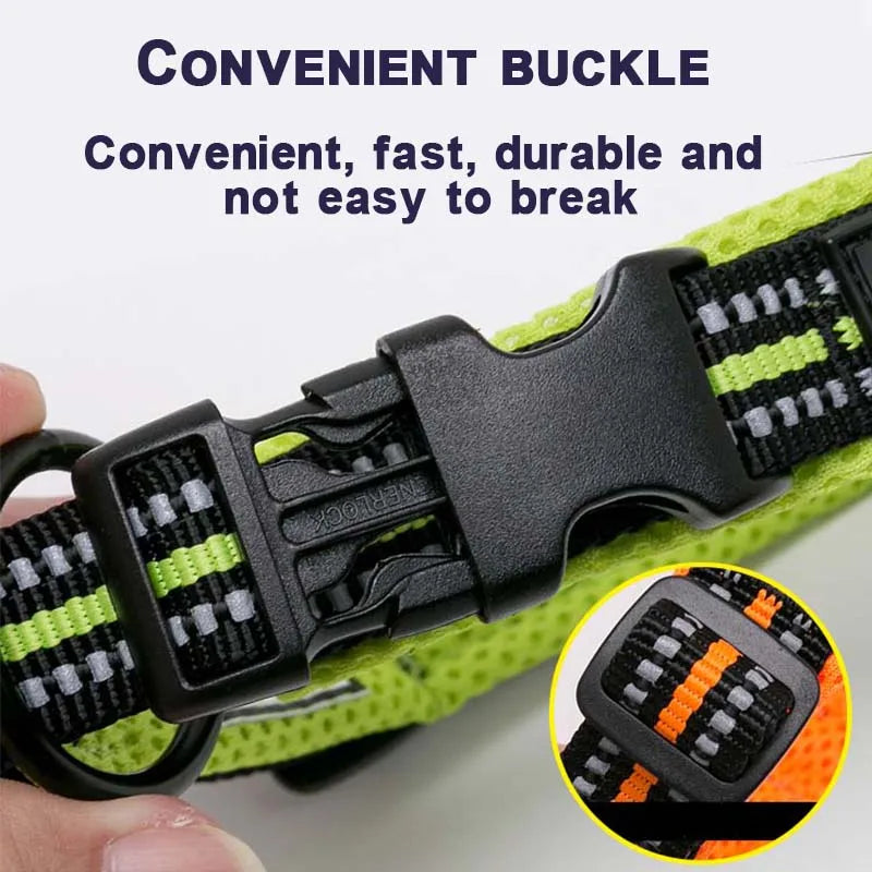 Winhyepet Dog Walking Collar Comfort Padded with Buckle Nylon Traveling Collar Tactical Dog Suplies 11 Colors Size XXS-XXXL