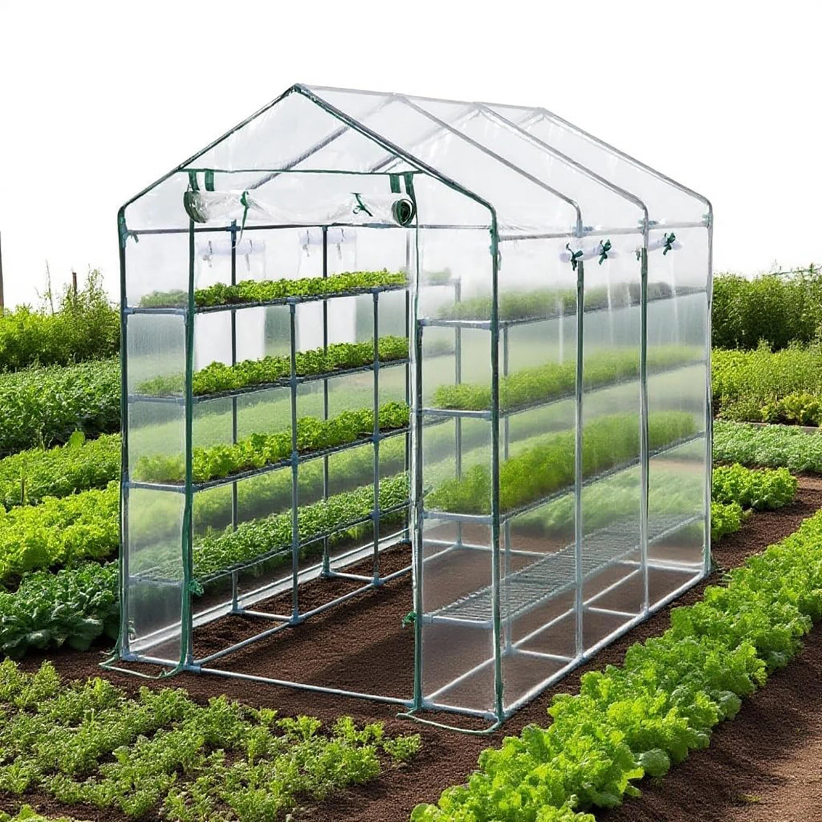 HiMISS Walk In Greenhouse With Shelves And PE Cover