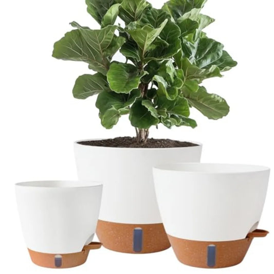Self-Watering Pots with Water Level Indicator for Indoor-Outdoor Plants