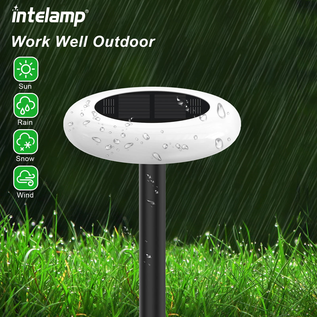 Intelamp Outdoor Solar Pathway Lights for Garden and Landscape