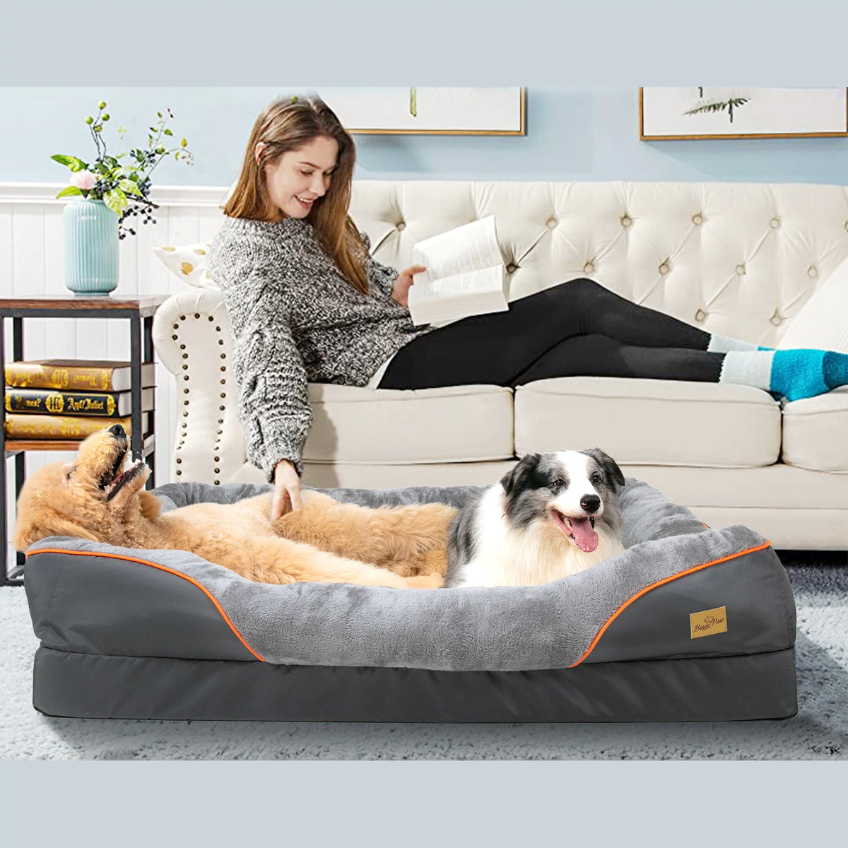BINGOPAW Removable Washable Waterproof Dog Bed With Soft Foam Comfort