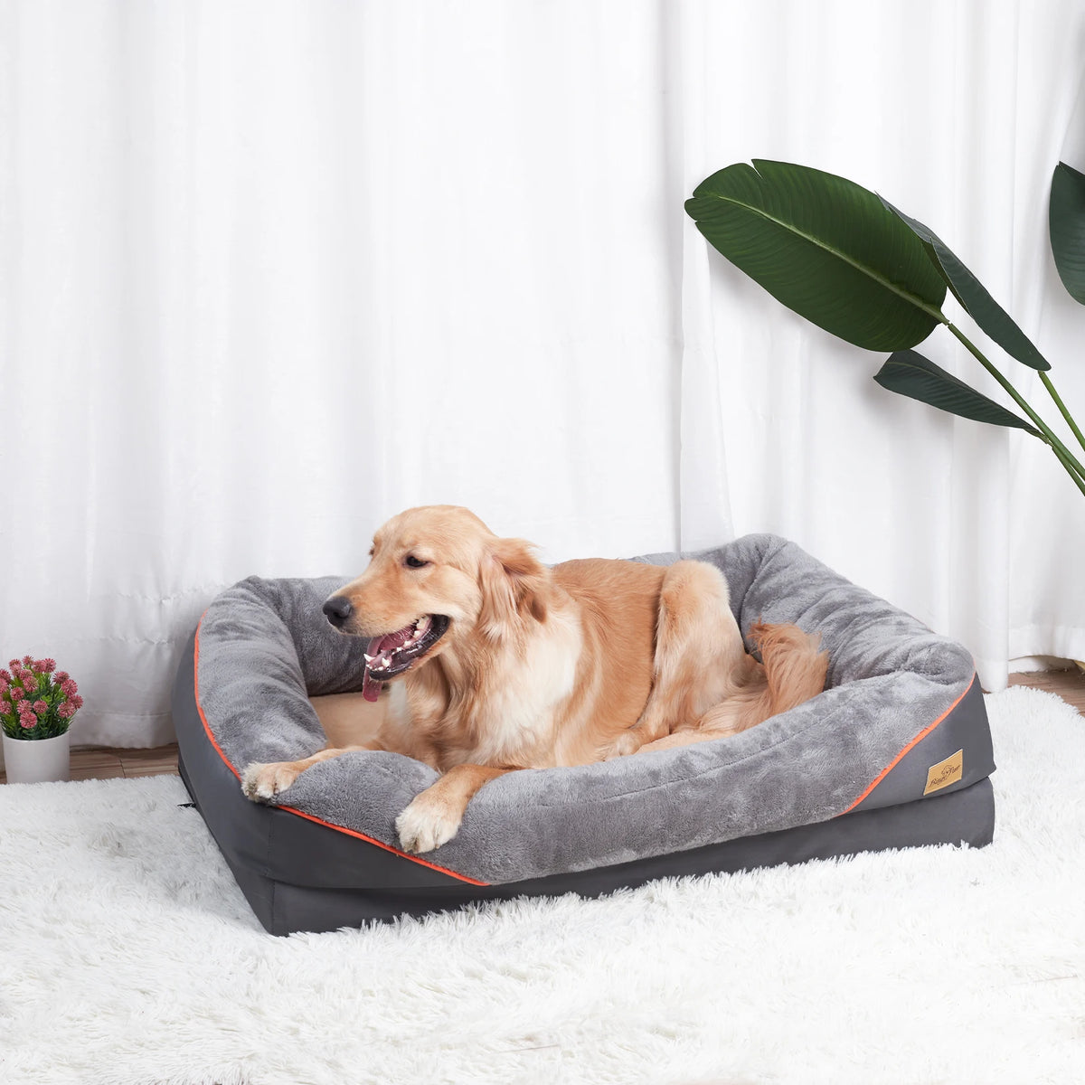 BINGOPAW Removable Washable Waterproof Dog Bed With Soft Foam Comfort